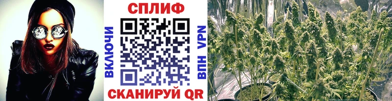 Купить закладку СОЛЬ  Мефедрон  ГАШИШ  Галлюциногенные грибы  Канабис  Воткинск