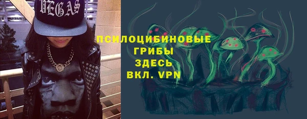 крисы Кинешма
