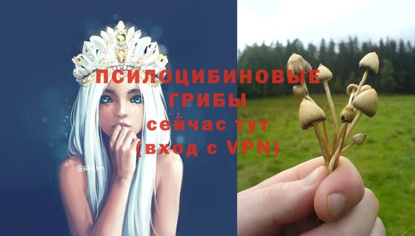 дживик Киренск