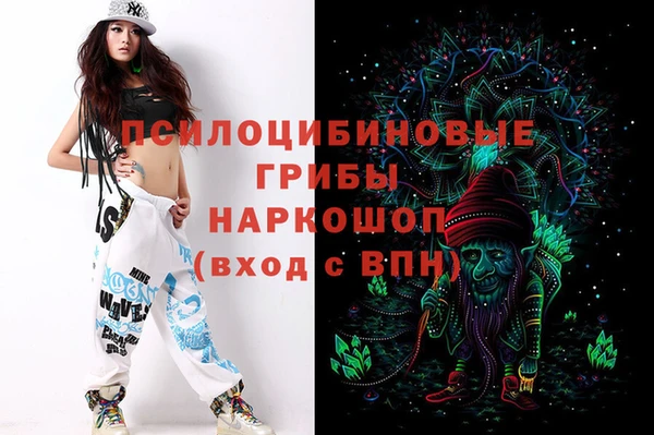прущий лед Касимов