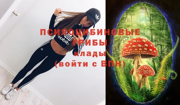 каннабис Туринск