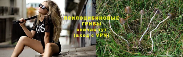 прущий лед Касимов