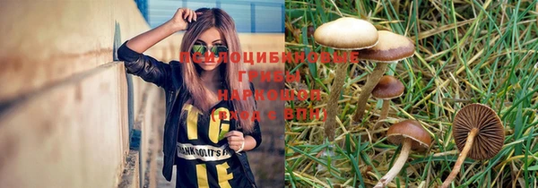 стаф Киреевск