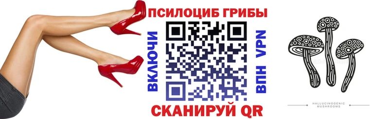 Псилоцибиновые грибы Psilocybe  Купить закладки  Воткинск 